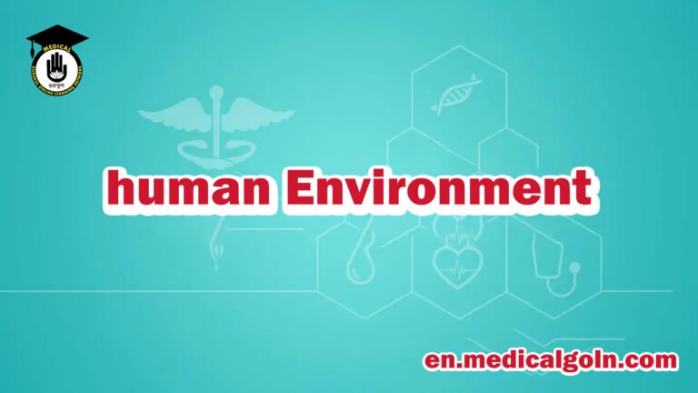 human Environment