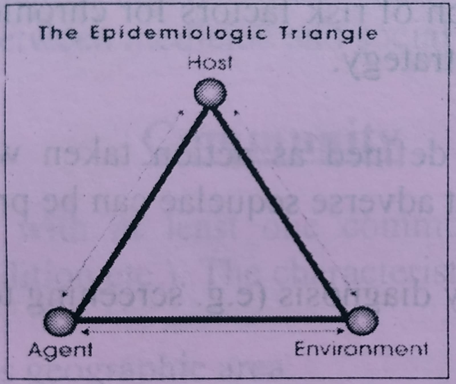 Ecological triad or epidemiological triad