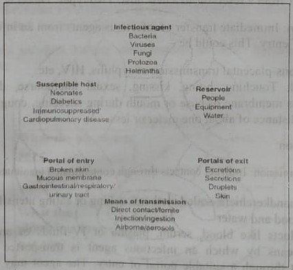 Chain of infection