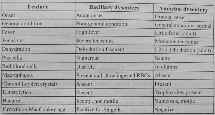 Differences between bacillary and amoebic dysentery