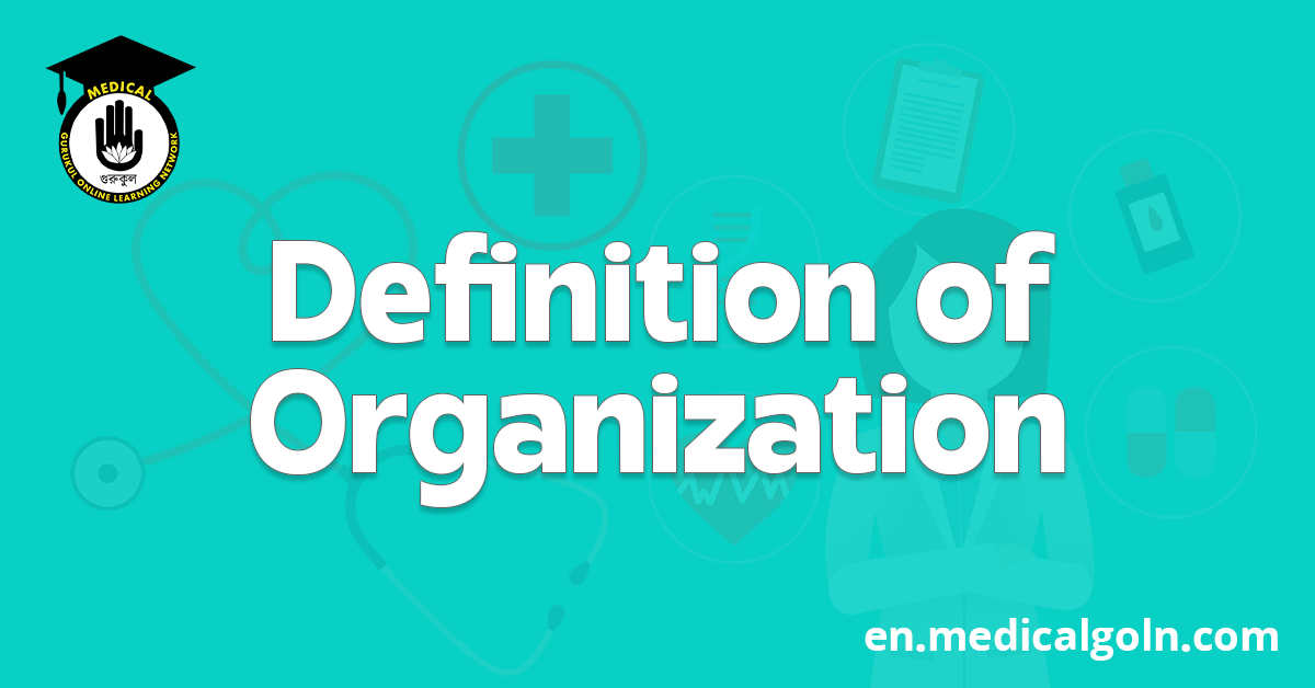 Definition of Organization