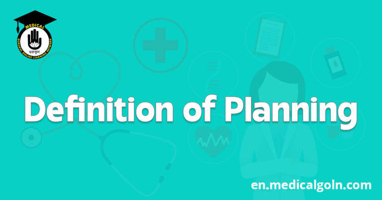 Definition of Planning