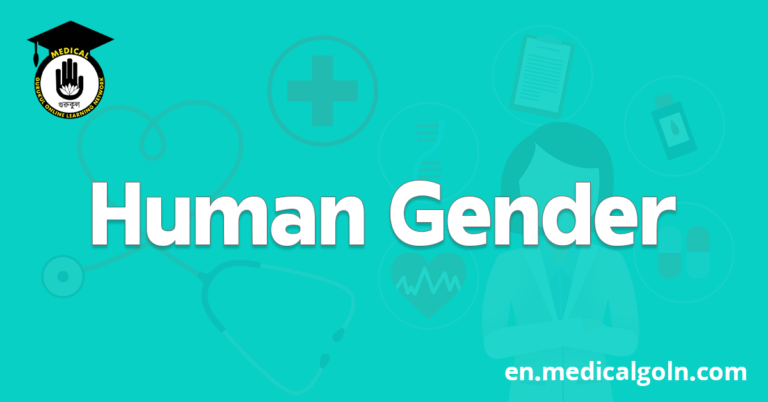 Human Gender