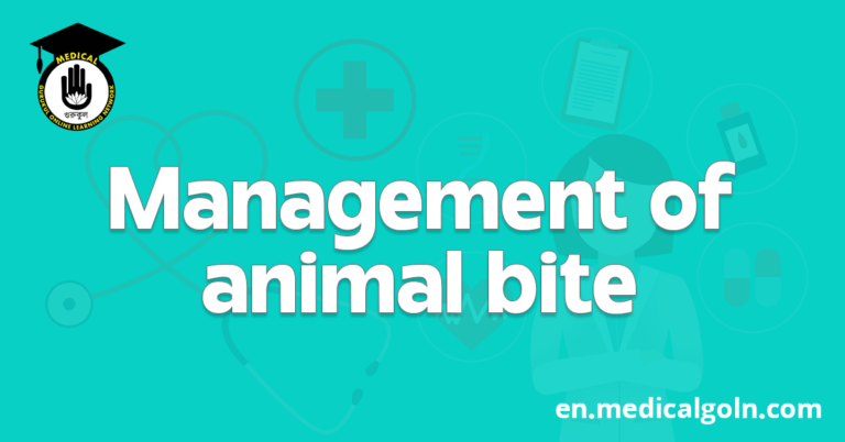 Management of animal bite