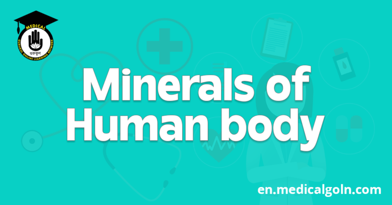 Minerals of Human body
